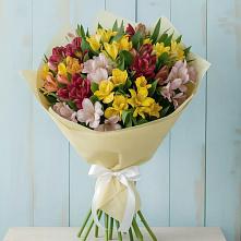 Букет цветов из:  Альстромерии #REPLACE_PRED# Малояз