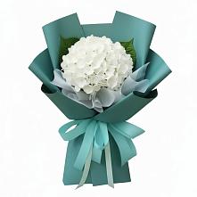 Букет цветов из:  Гортензия #REPLACE_PRED# Малояз